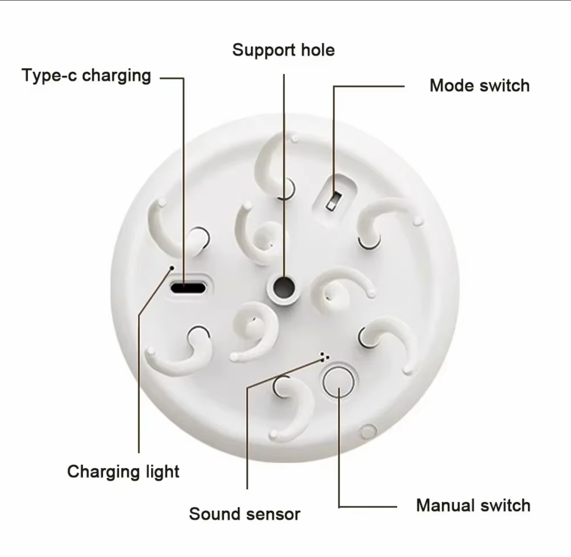 Jellyfish Night Light